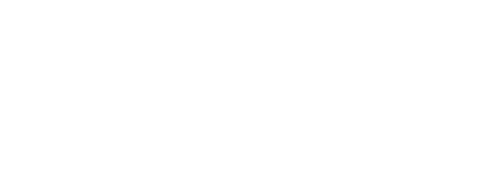 senevida.com